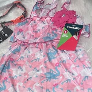 Cute NWT dog dress and collar